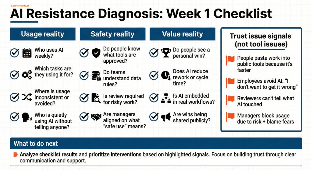 Cultural Resistance Diagnostic Map