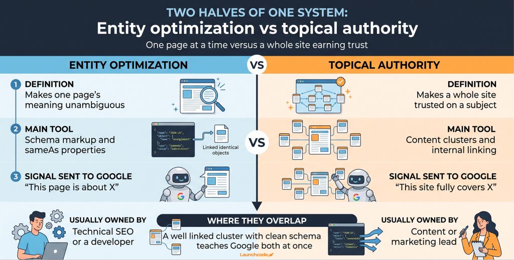 Entity optimization vs topical authority